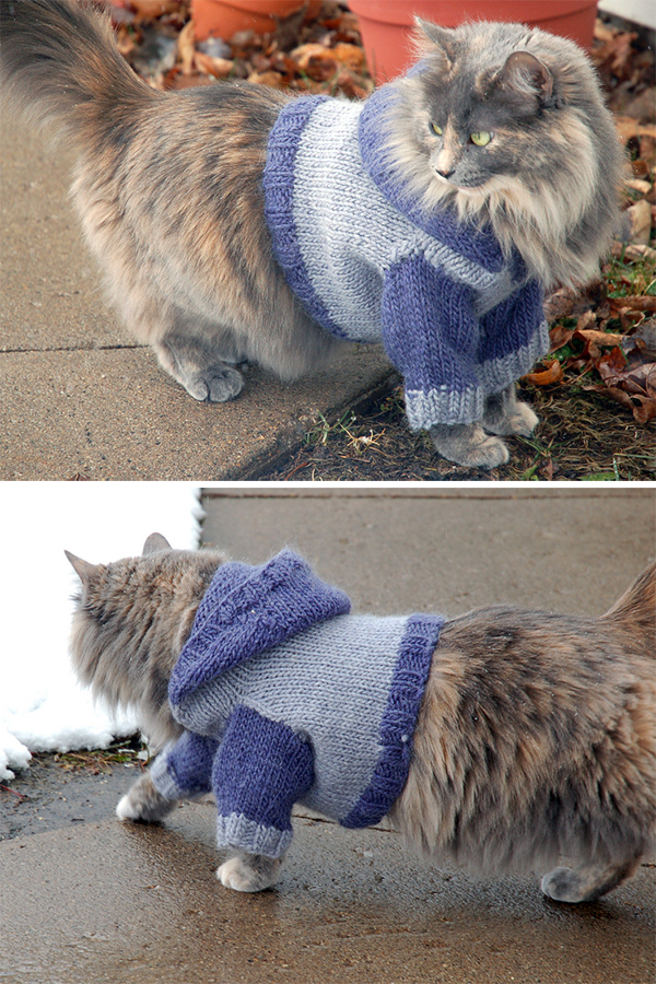 Pet Coat Knitting Patterns In the Loop Knitting