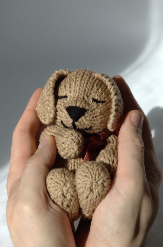 Pug Knitting Pattern vlr.eng.br