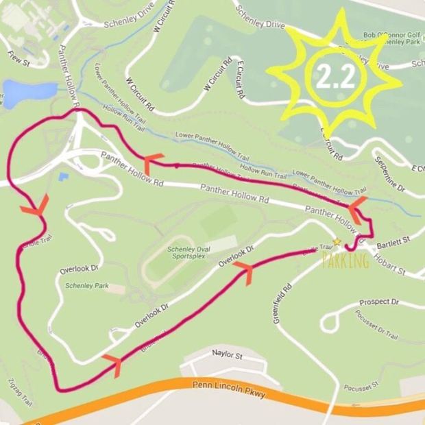 Schenley Park In the Sun ☀️ Pgh