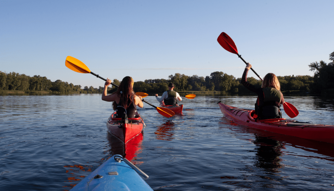 The 9 Best Spots for Kayaking in Hot Springs Arkansas In the Trees