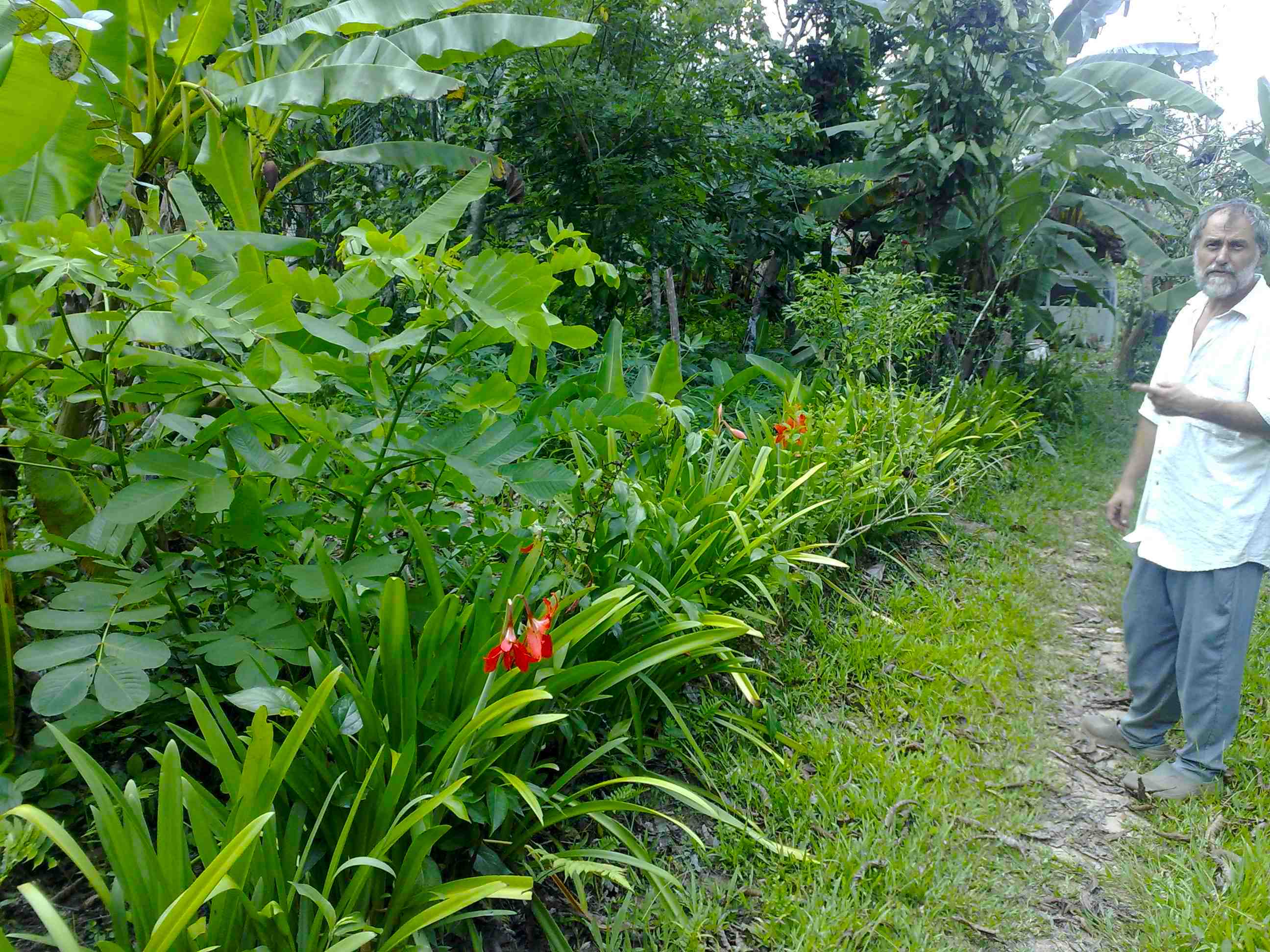 flowers Real Estate In Tropical Belize