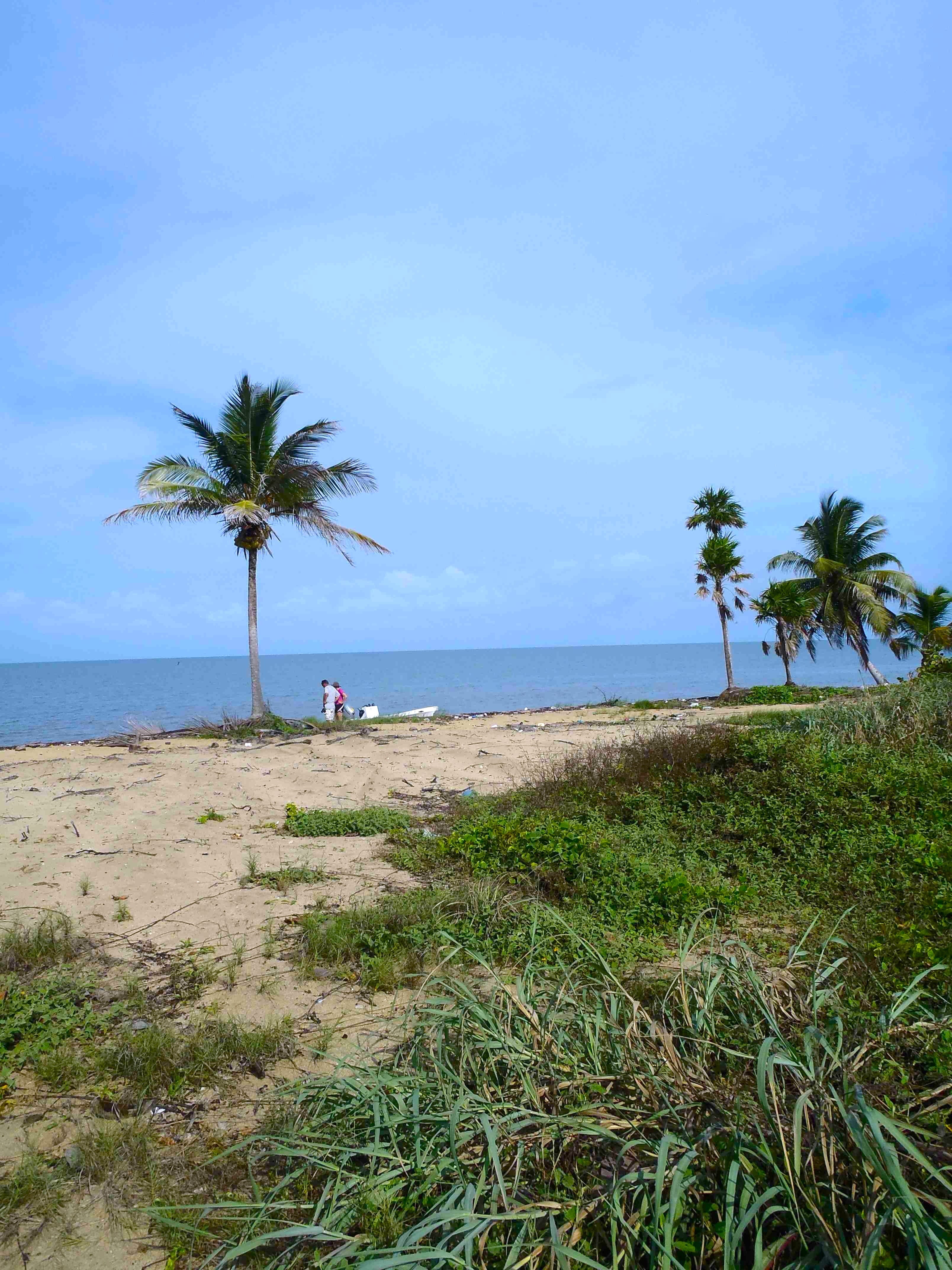 Real Estate In Tropical Belize10acre lot Real Estate In Tropical Belize
