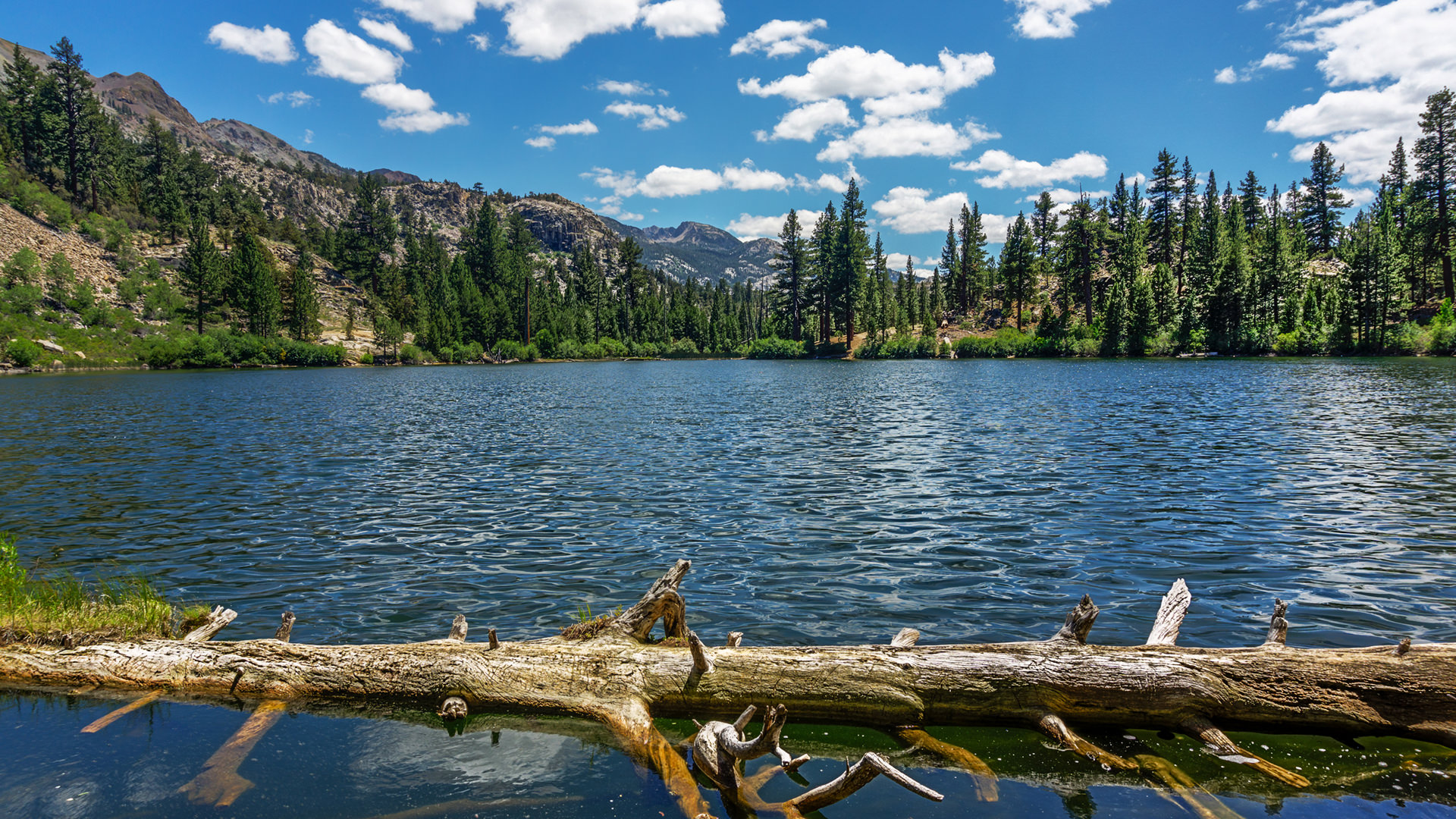 Roosevelt Lake ‣ In The Viewfinder