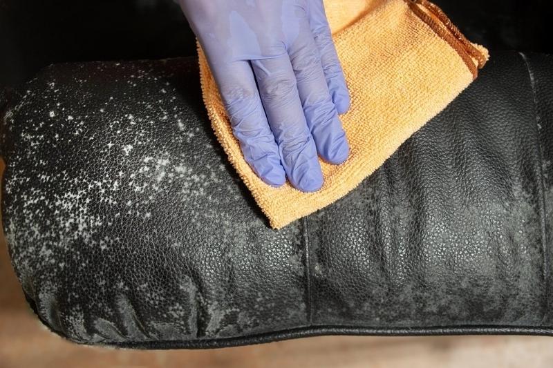 How to Remove Mildew from Fabric Without Bleach