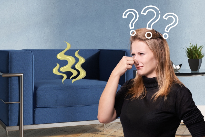 Why Does My Sofa Smell After Being Cleaned?