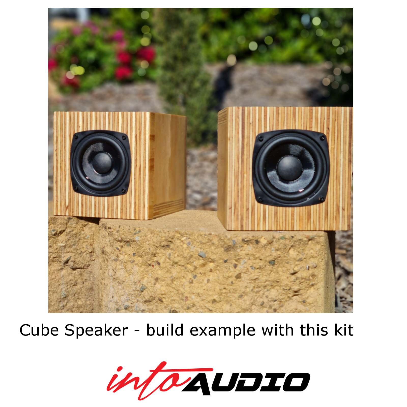 3″ Full Range Cube Speaker Build Kit IntoAudio