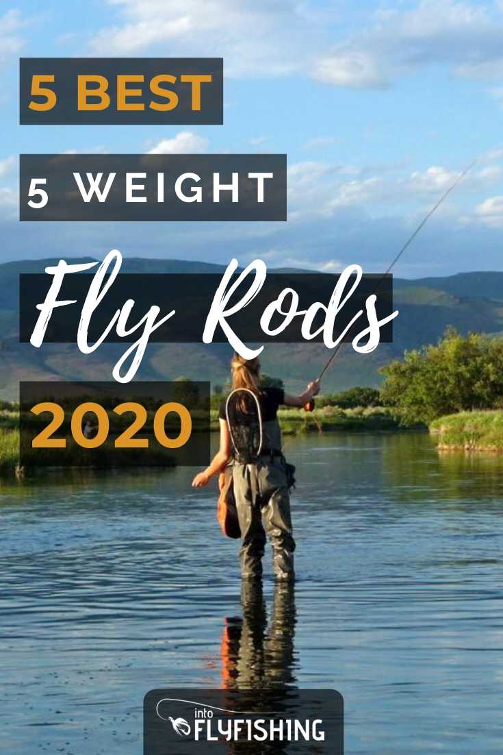 The Best 5 Weight Fly Rods You Can Buy in 2021 (A Buyer's Guide)