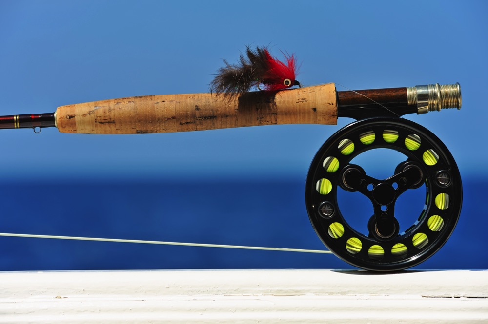 Best 7 Weight Fly Line in 2023 Into Fly Fishing