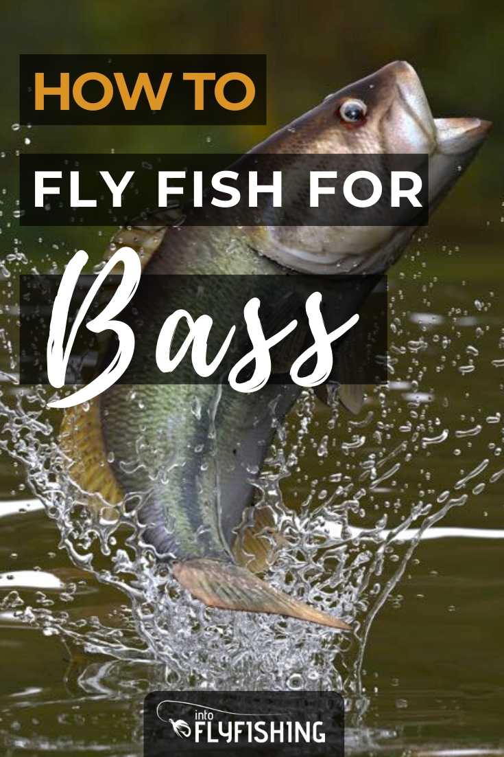 How to Fly Fish For Bass An Angler's Guide Into Fly Fishing