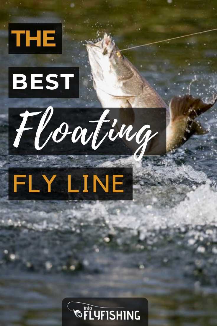 Best Floating Fly Line (2023 Buyers Guide) Into Fly Fishing
