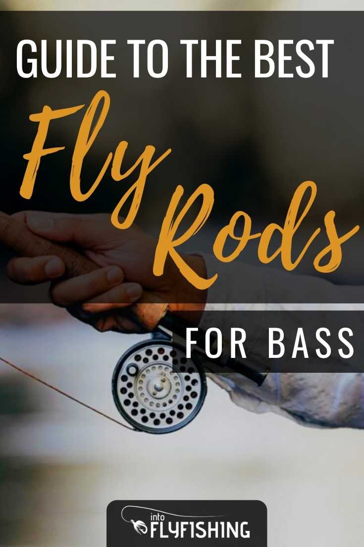 Best Fly Rods for Bass (2023 Buyer's Guide) Into Fly Fishing