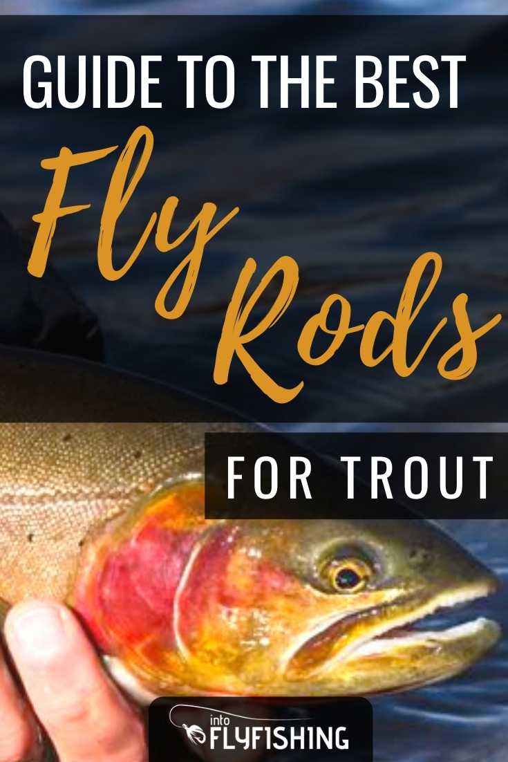 Best Fly Rods for Trout (2024 Buyer's Guide) Into Fly Fishing