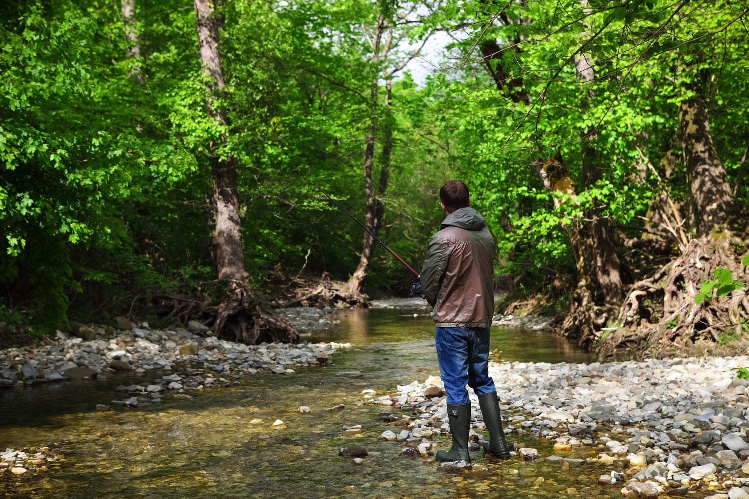 Best Fly Rods for Small Streams (2023 Buyer's Guide) Into Fly Fishing