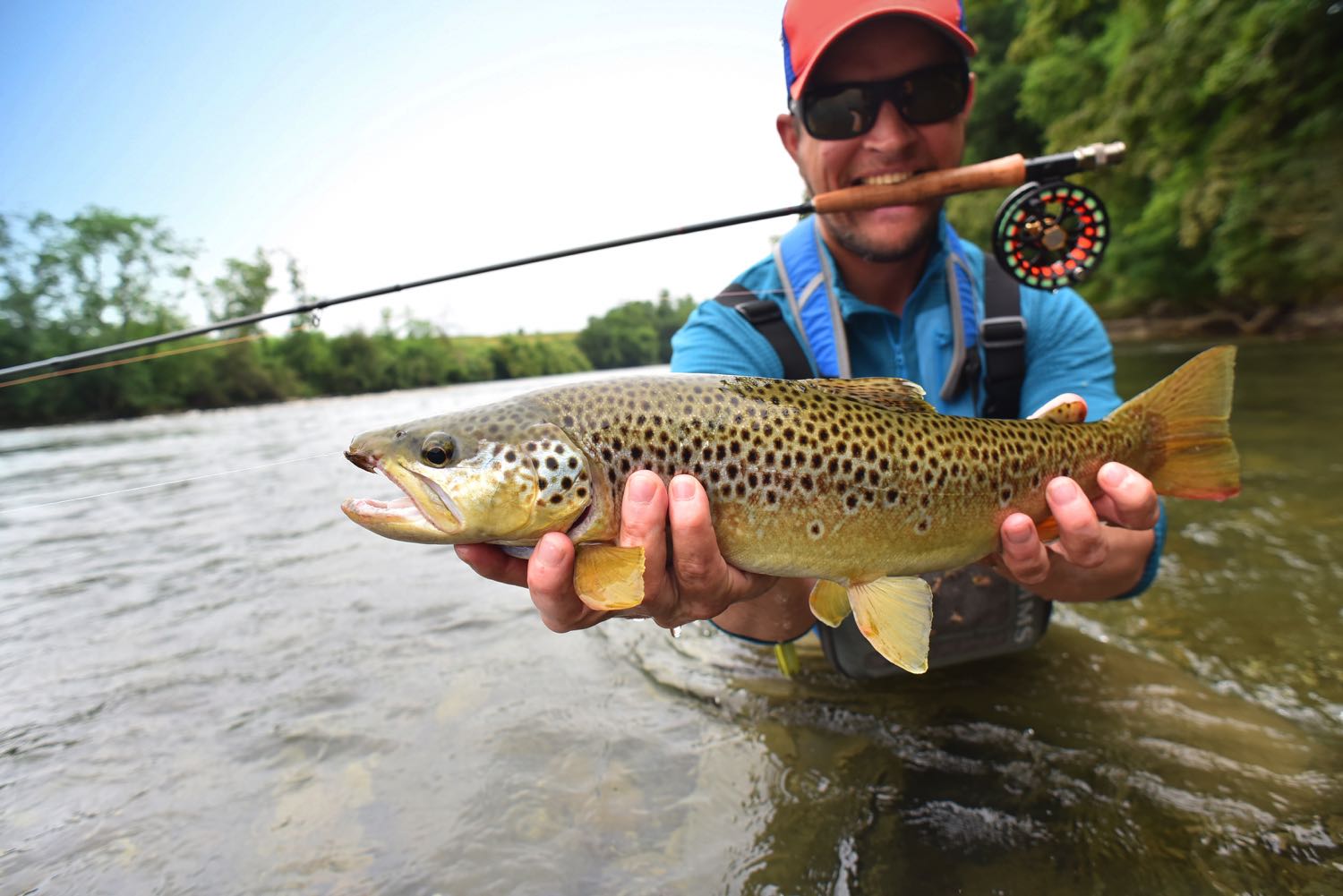 Best Fly Rods for Trout (2023 Buyer's Guide) Into Fly Fishing