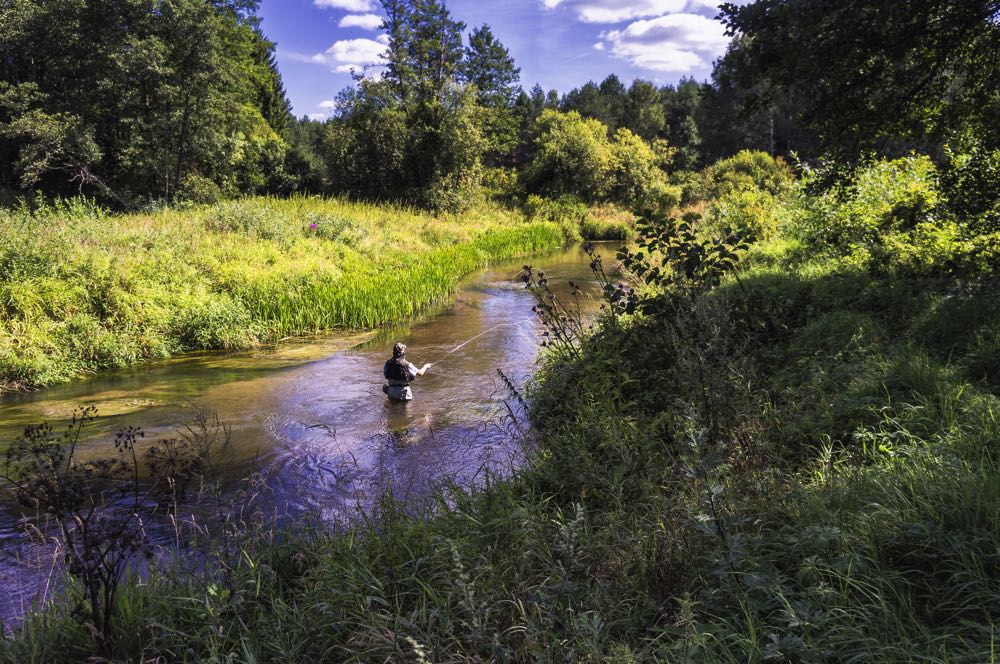 Best Fly Rods for Small Streams (2023 Buyer's Guide) Into Fly Fishing