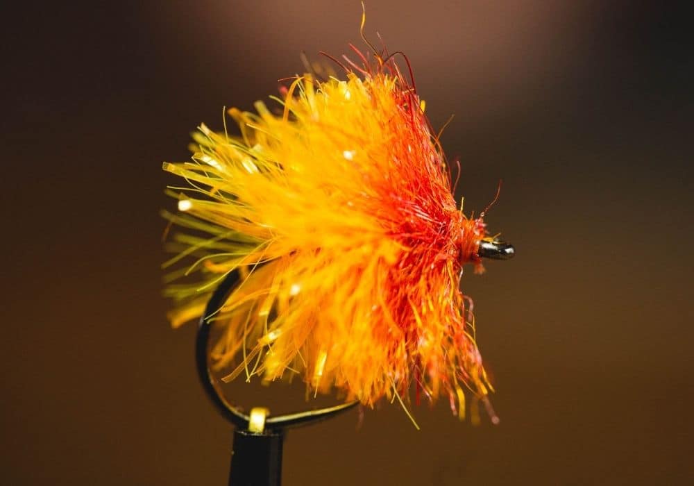 10 Best Stillwater Trout Flies (2023 Buyer’s Guide)
