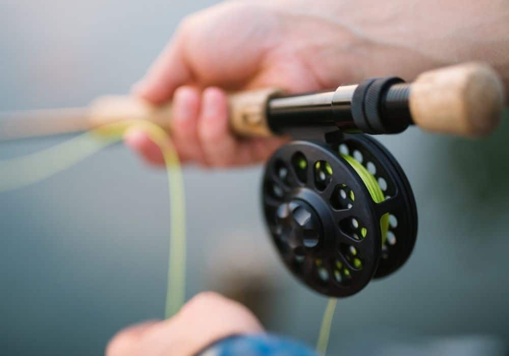 What Fly Rod Weight Should I Use? Into Fly Fishing