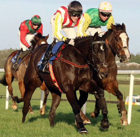 Kildare The Thoroughbred County The Curragh