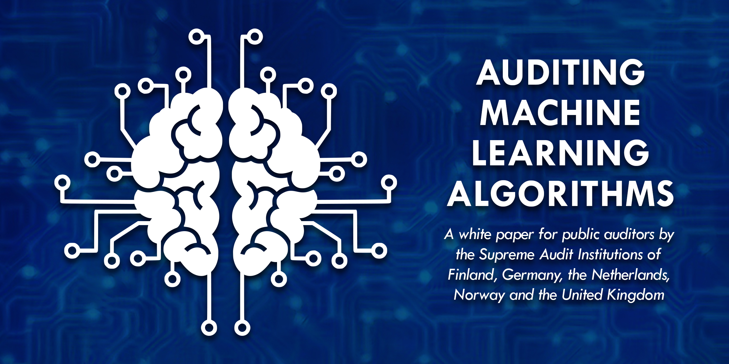 Auditing Machine Learning Algorithms A White Paper for Public Auditors