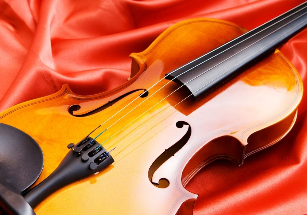 Best Violas & Viola Brands (2023 Buyer’s Guide) Into Strings