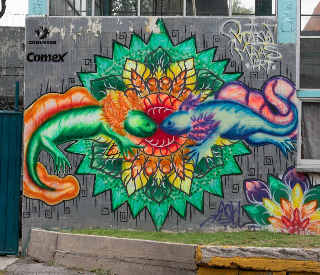 Street art in Mexico Into The Arms Of America