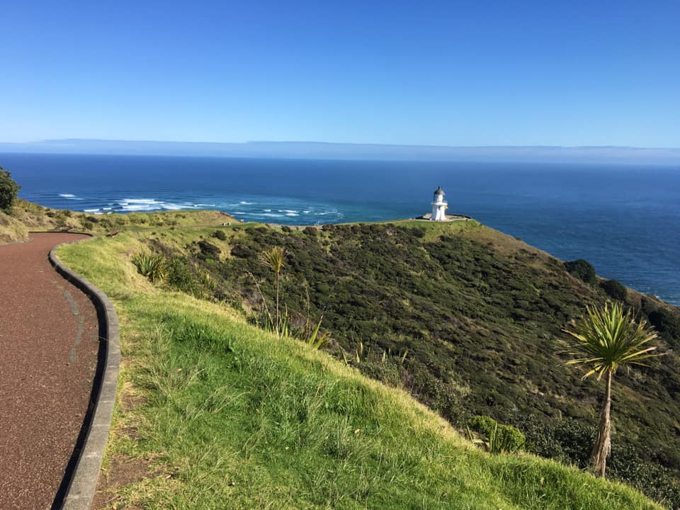 Day 1 Cape Reinga to Twilight Beach Into The Forest