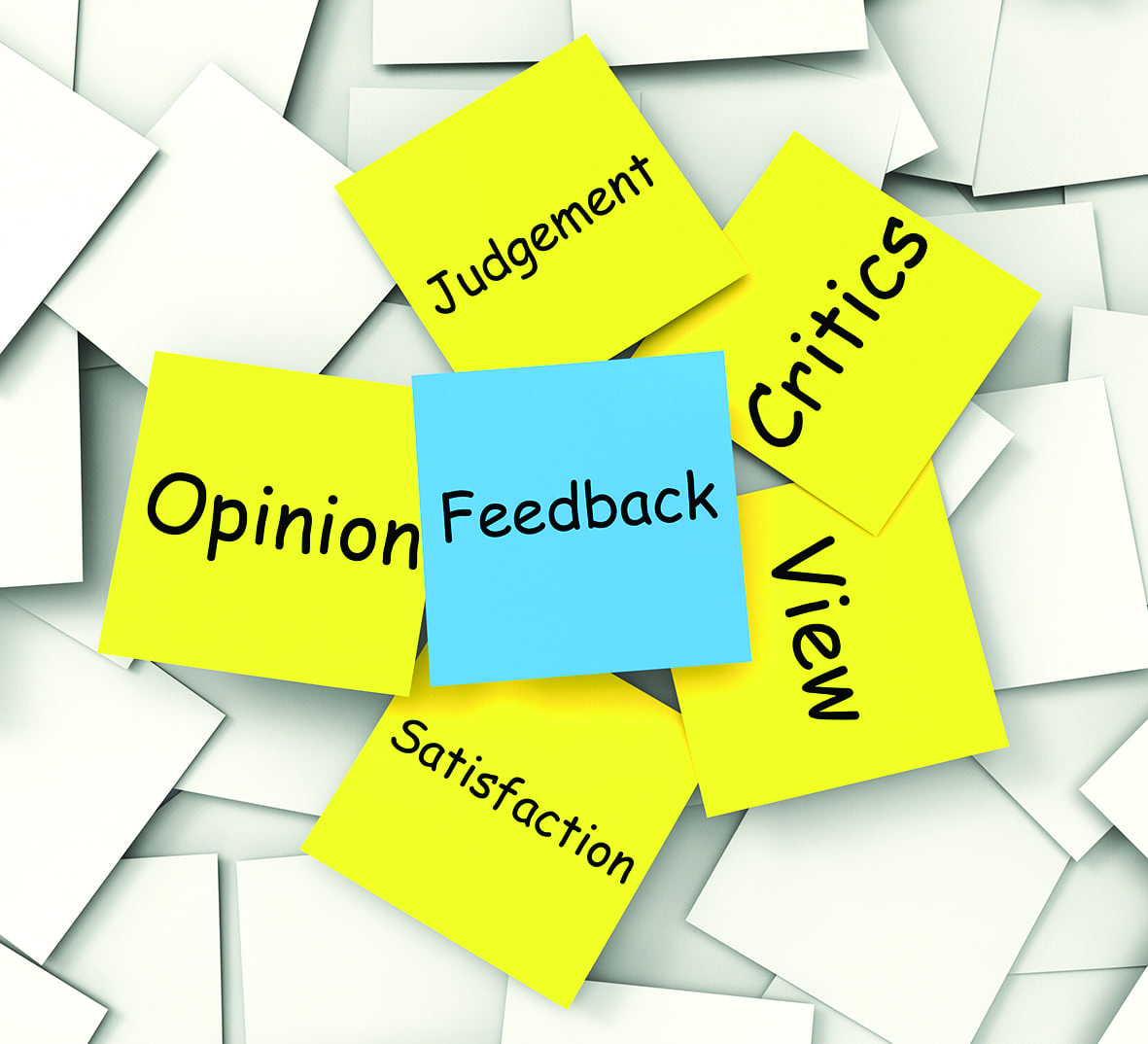 Can you Accept Feedback? Into The Vale