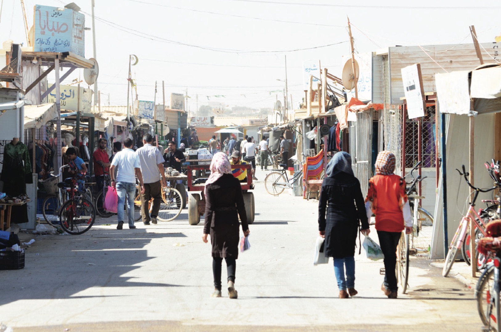 Jasmine Flower Poem Jasmine magazine