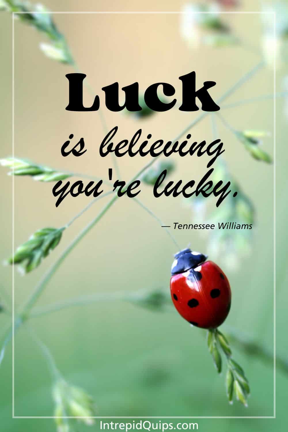 90 Luck Quotes And Captions Exploring The Magic Of Good Fortune