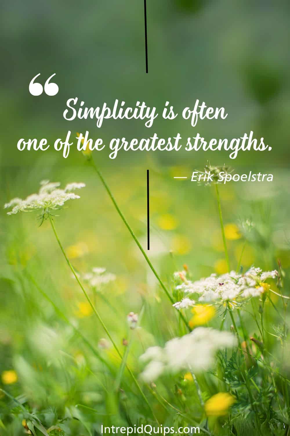 107 Quotes About Simplicity To Inspire A Minimalistic Life