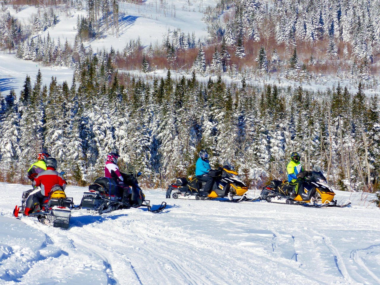 Gaspésie Quebec March Snowmobile Tour Intrepid Snowmobiler