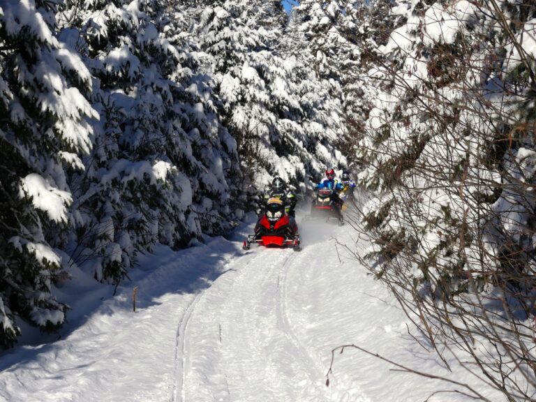 Ski Doo Archives Intrepid Snowmobiler