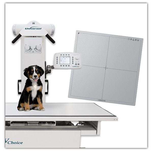 Veterinary Xray Packages Intriquip