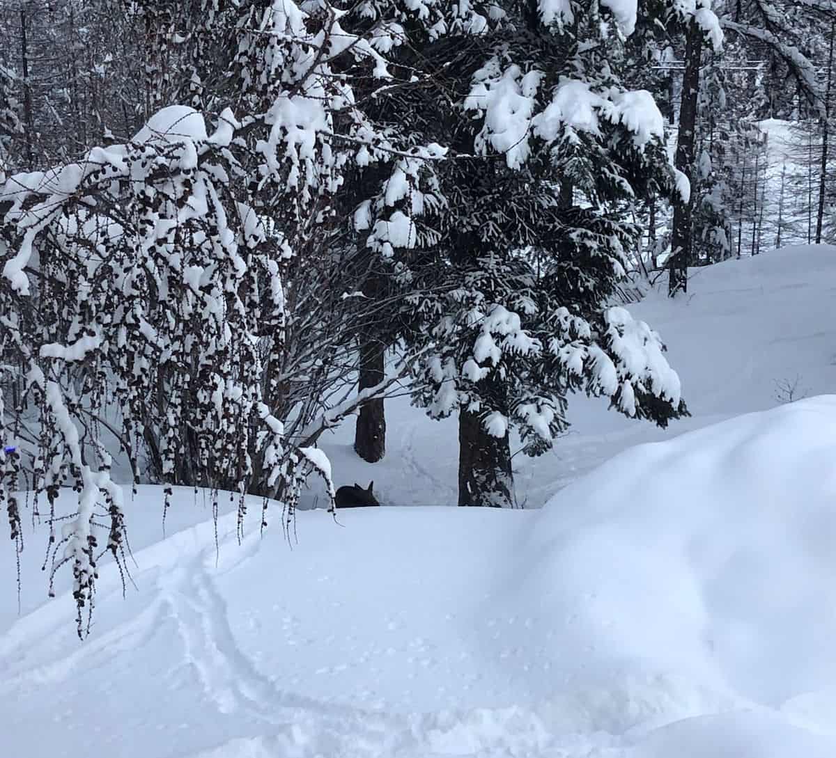 Does It Snow In Cape Town? The Cold Facts