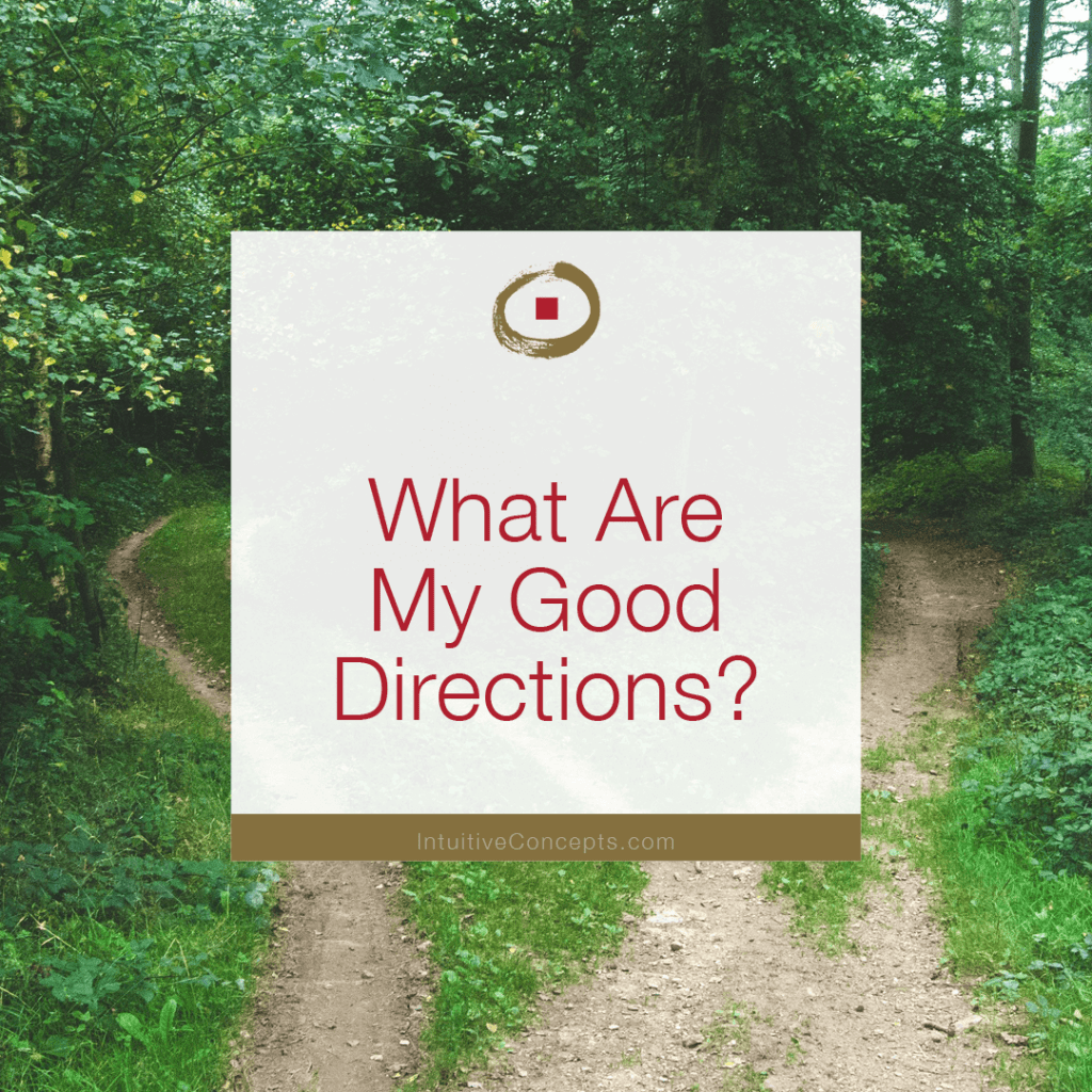 Directions To Good Will What Are My Good Directions? Intuitive Concepts