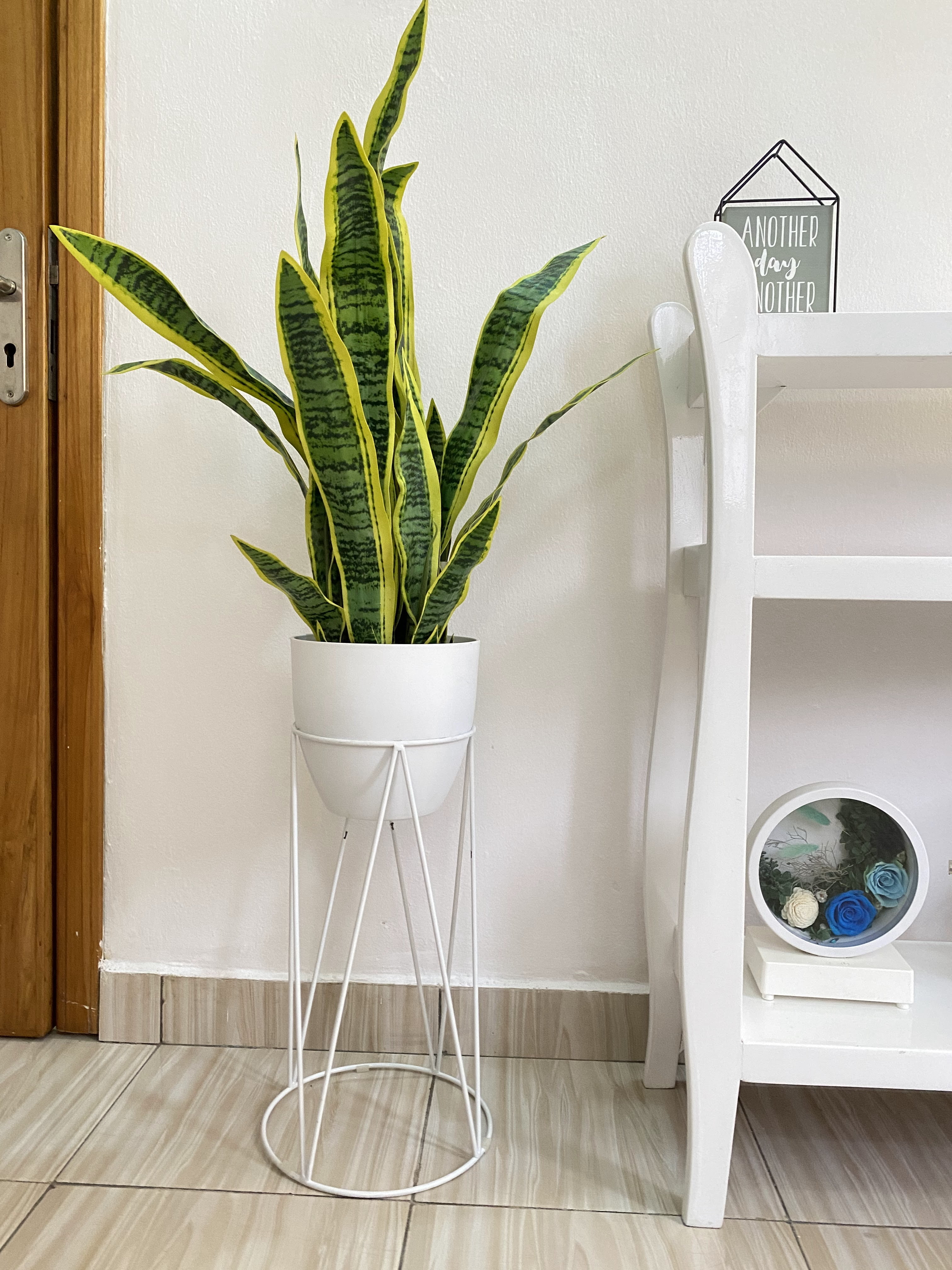 Artificial snake plant » InuIle Décor Nigeria