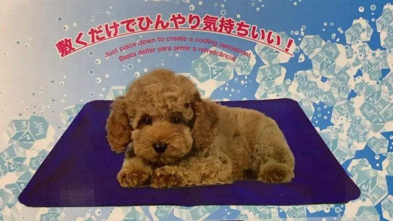 ダイソーのジェルマット・レビュー【ペット用品】 はなげんきの犬小屋