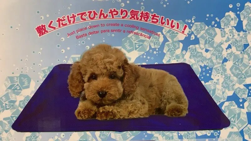 ダイソーのジェルマット・レビュー【ペット用品】 はなげんきの犬小屋