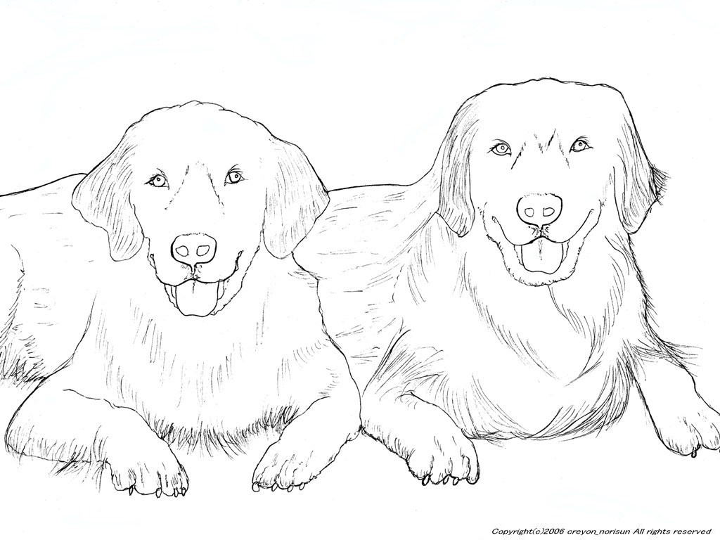 犬のぬりえの下絵