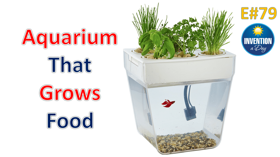 Back to the Roots Water Garden Fish Tank [Ends on Dec 16, 2016 1159 PM