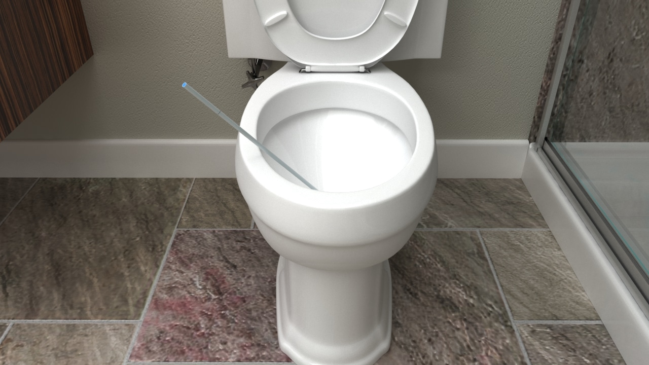 Flush Wand Invention Assistant