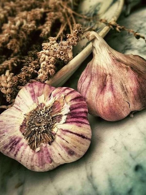 Unveiling The World Of Garlic Invent Your Recipe