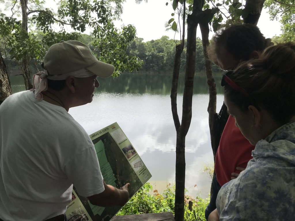 Mexico IFM Carbon Credits Bonos Laguna Síjil NohHá