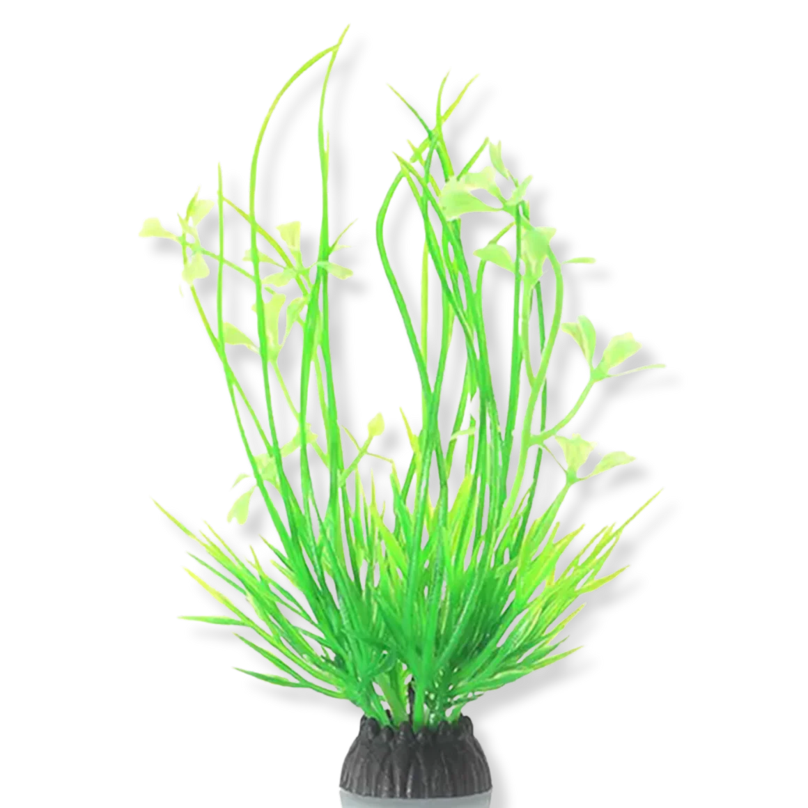 Decorations InvertAquatics