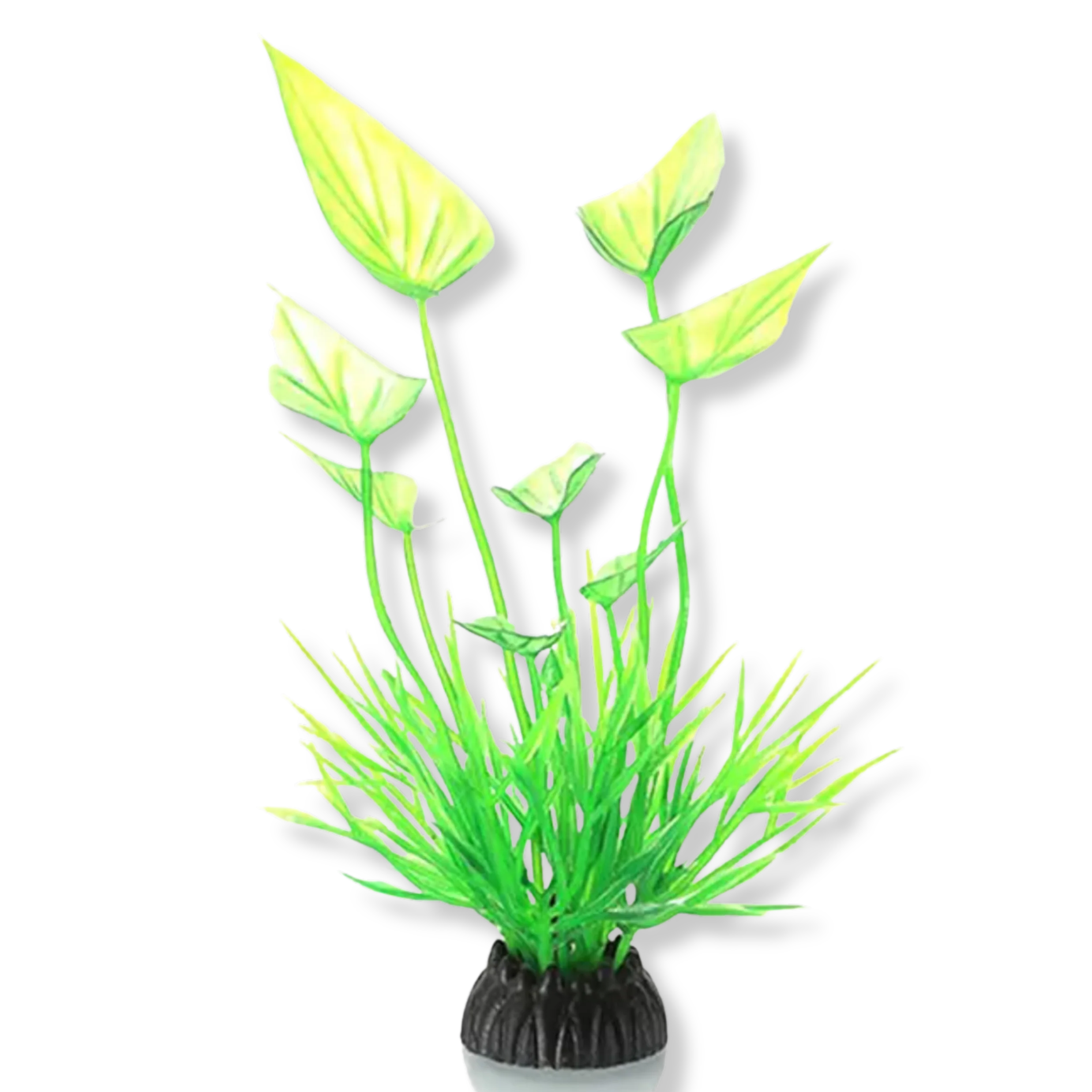 Decorations InvertAquatics