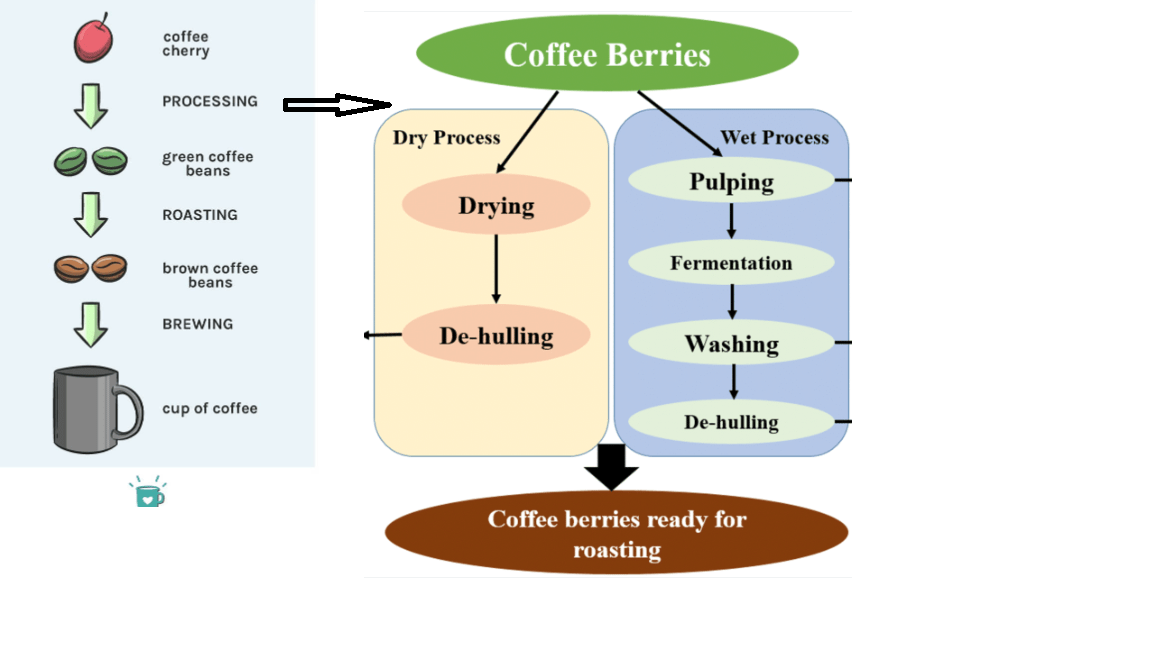 All About Coffee Industry Coffee Industry Analysis for Investors