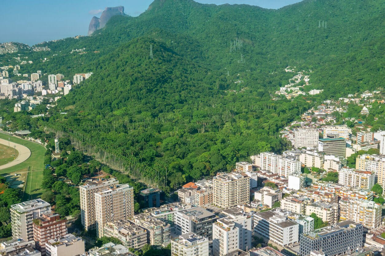 Conheça o bairro do Jardim Botânico no Rio de Janeiro