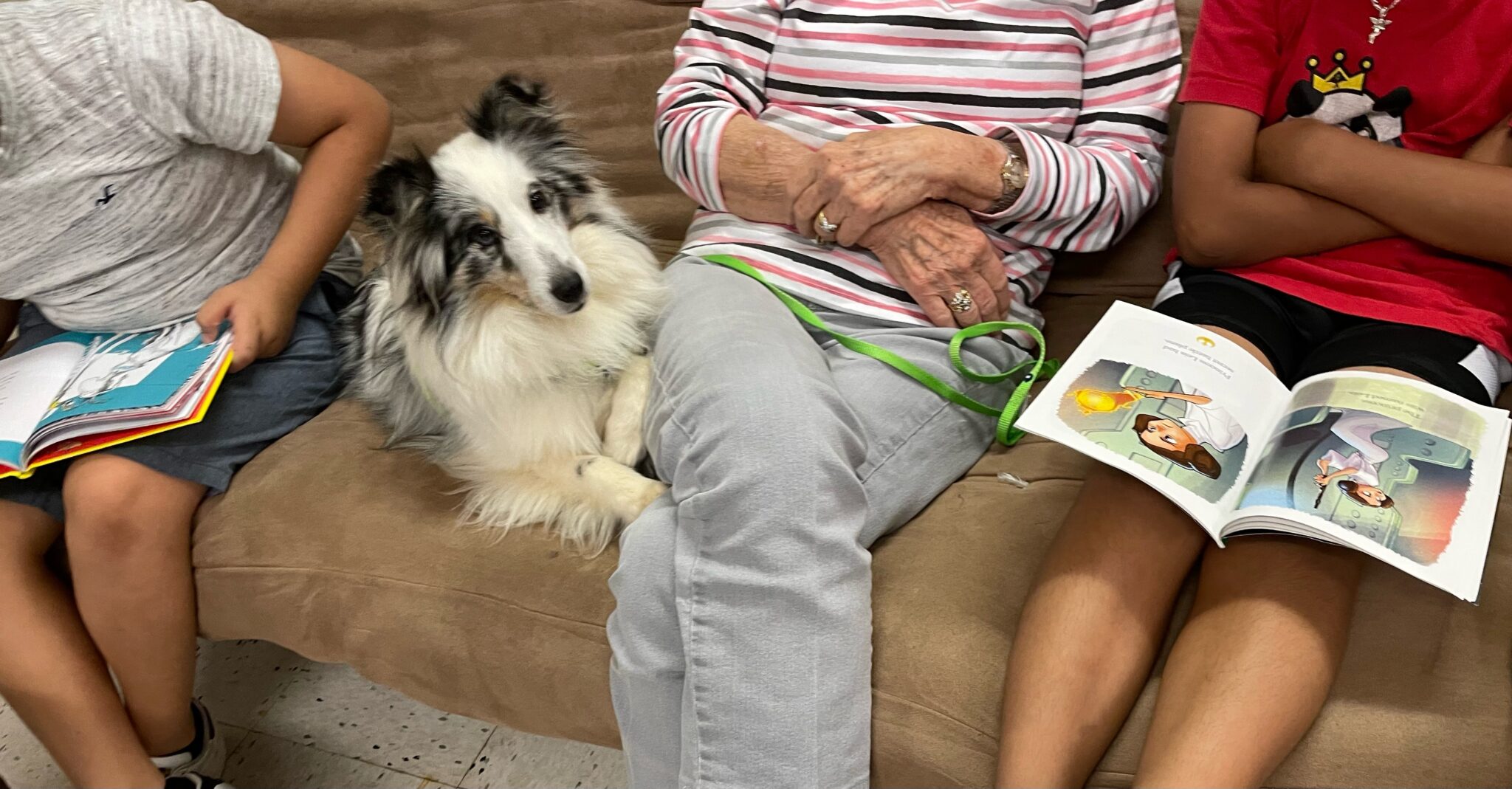 Invisible Paw Prints Therapy Dogs Testing & Registry