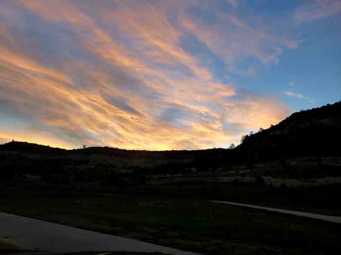 Midnight Escape! (Bed bugs) Invisible Tracks