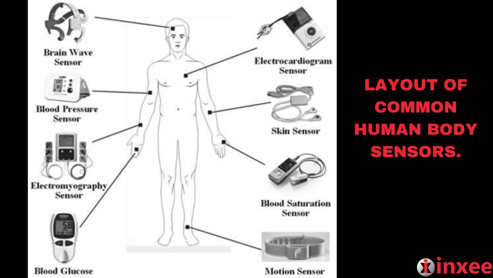 Layout of Common Human Body Sensors Inxee Systems Private Limited